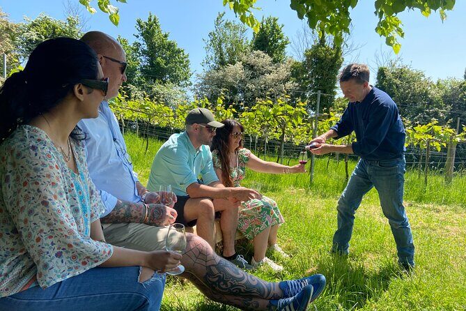 Wine and Cheese Tasting Tour in Cheddar Valley - Final Thoughts: Is This Tour Right for You?