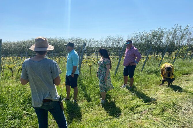 Wine and Cheese Tasting Tour in Cheddar Valley - FAQ