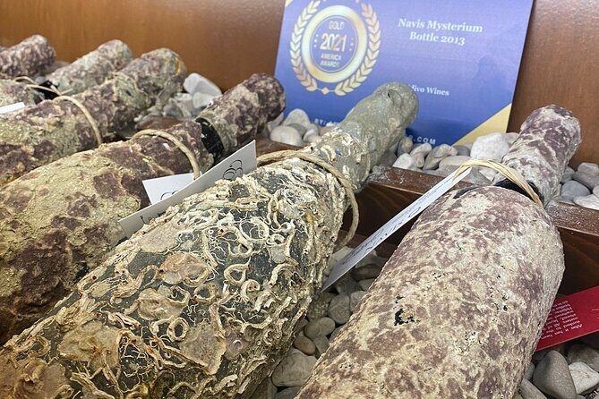 Wine and Food Daily Tour - What We Think About the Price and Value