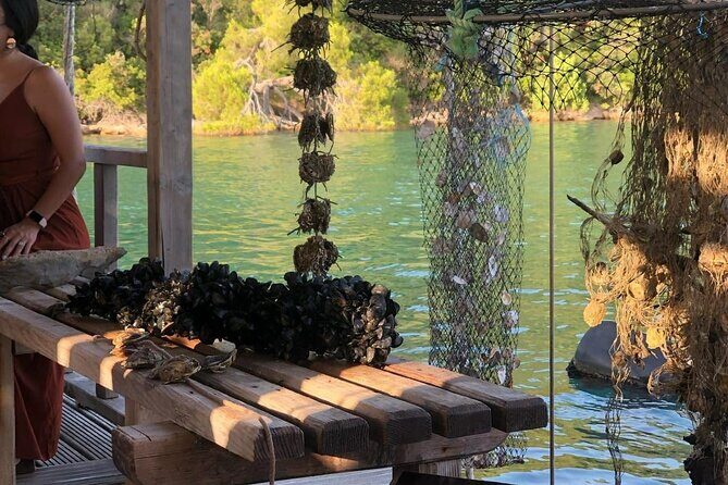 Wine and Food Daily Tour - FAQs About the Wine and Food Daily Tour