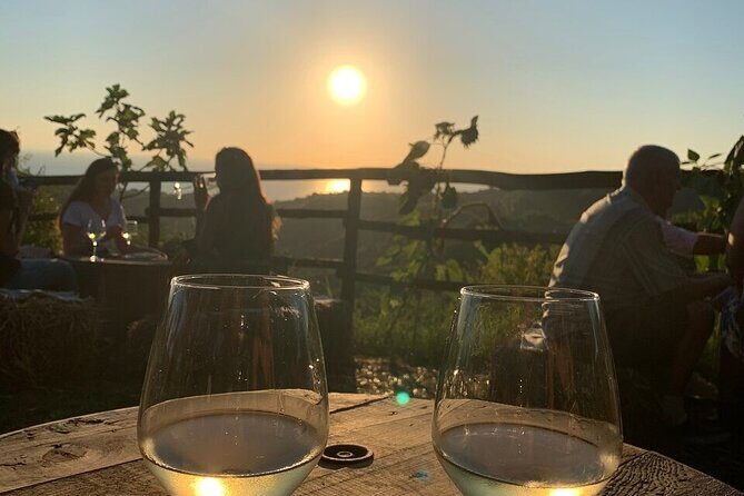 Wine and food tasting - Frequently Asked Questions