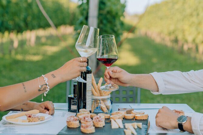 Wine and Food Tasting in the Vineyards in Lazise - The Sum Up: Who Should Book This?