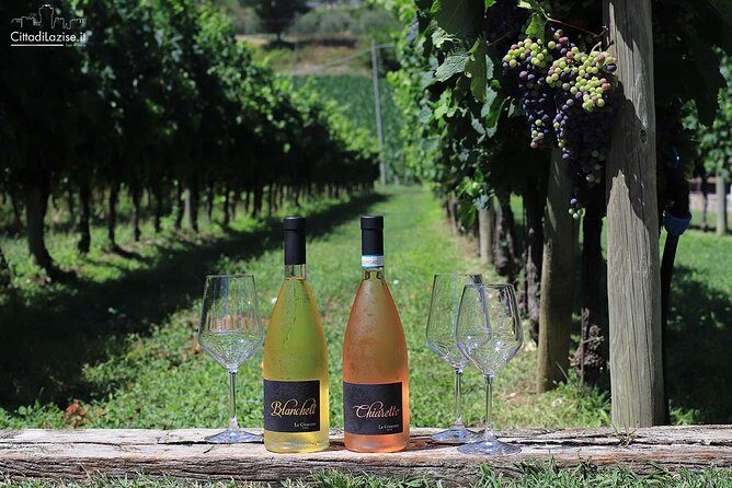 Wine and Food Tasting in the Vineyards in Lazise - FAQ