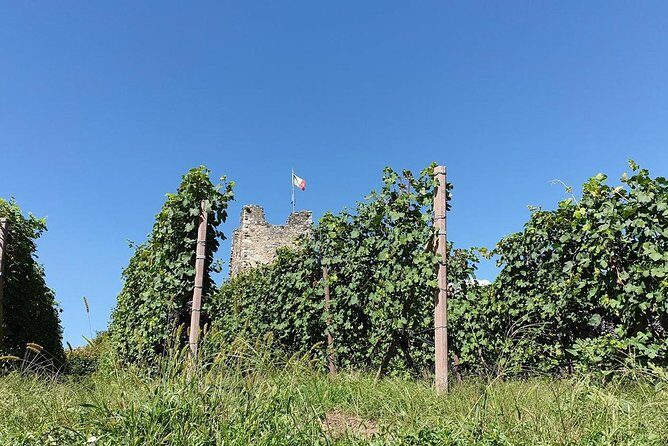 Wine and Food tasting PRIVATE Guided Tour - The Itinerary in Detail