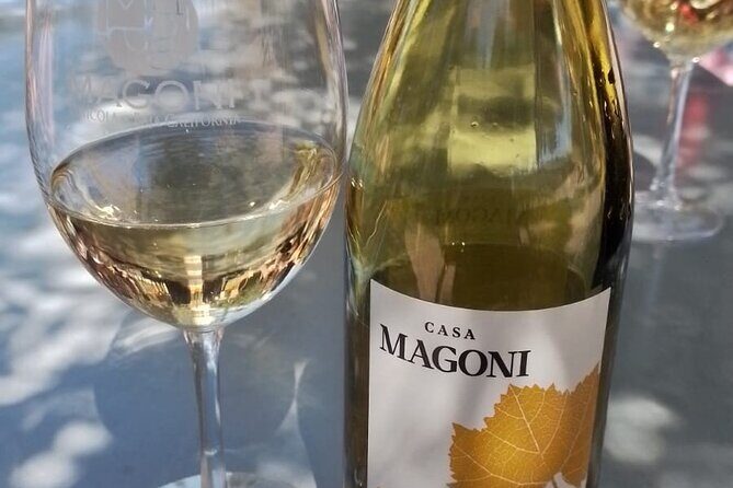 Wine and gastronomic tour in Guadalupe Valley for groups 6 - Exploring the Guadalupe Valley Wine and Gastronomic Tour for Groups of Six