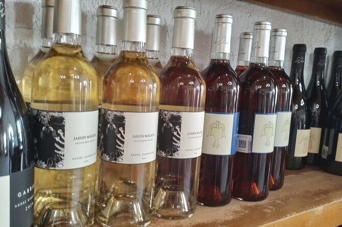 Wine and gastronomic tour in Guadalupe Valley for groups 6 - Who Is This Tour Best For?