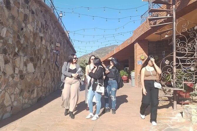 Wine and gastronomic tour in Guadalupe Valley for groups 6 - Final Thoughts