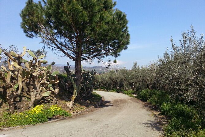 Wine and Lunch Tour - Final Thoughts