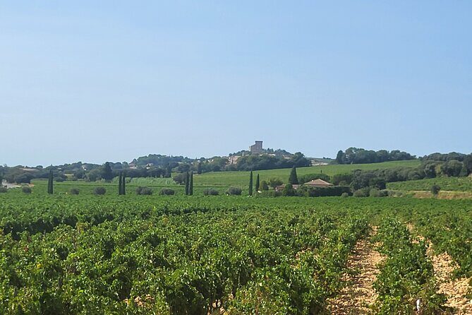 Wine and Romans - FAQs