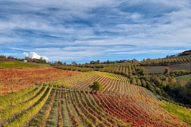 Wine and Typical Product Tasting Tour - Key Points