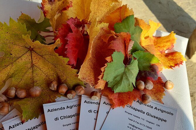 Wine and Typical Product Tasting Tour - Final Thoughts