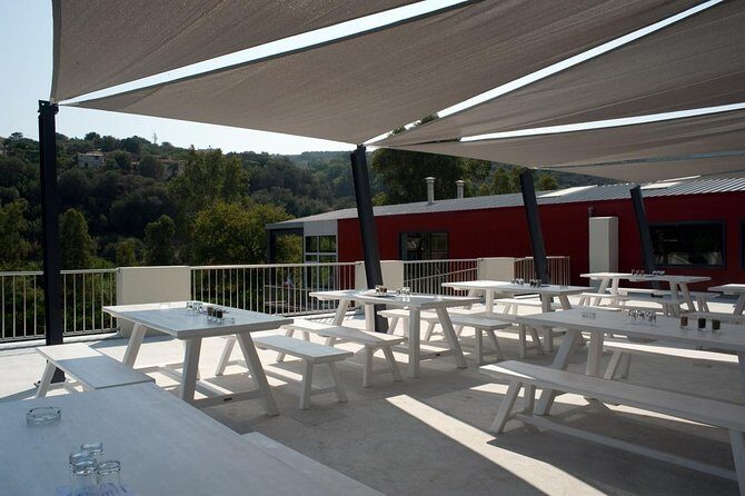 Wine, Beer, Olive Oil Tasting Private Tour (price per group of 6) - Frequently Asked Questions