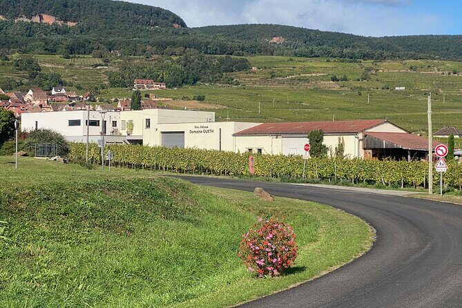 Wine cellar visit & tasting of organic Alsace wines - The Setting: A Natural and Picturesque Location