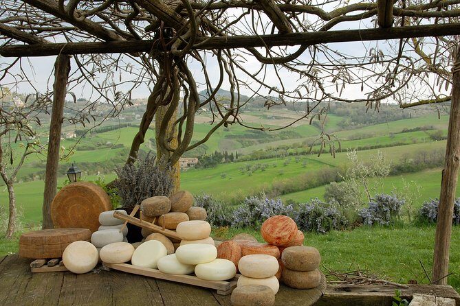 Wine Cheese and EVO Oil Tastings in Tuscany Full-Day from Rome - Exploring Tuscany’s Flavors: A Full-Day Food Tour from Rome