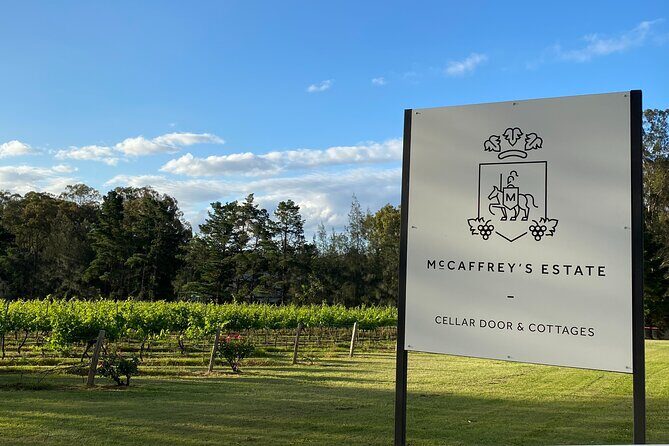 Wine & Cheese Tasting Experience in Hunter Valley - Who Should Consider This Experience?