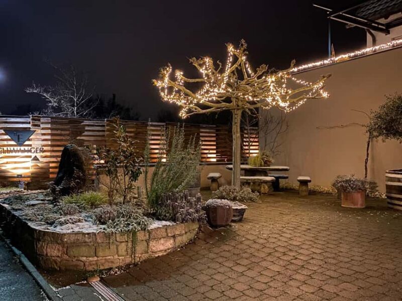 Wine City: 6 Wine Tasting with Bread, Water + Discount on Favorite Wine - What Reviewers Say