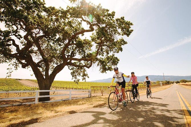 Wine Country Farm to Table Bike Tour w/Lunch - Key Points