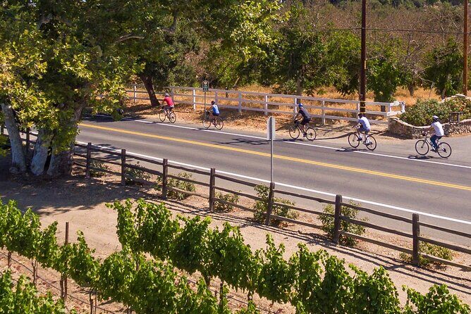 Wine Country Farm to Table Bike Tour w/Lunch - Who Is This Tour Best For?