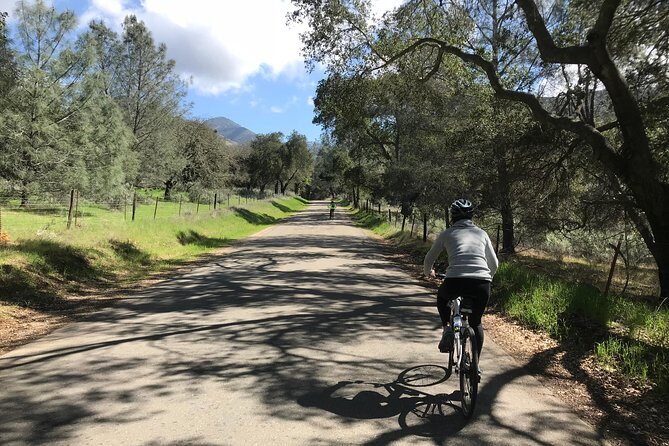 Wine Country Half-Day Bike Tour from Solvang - w/o Lunch - Key Points