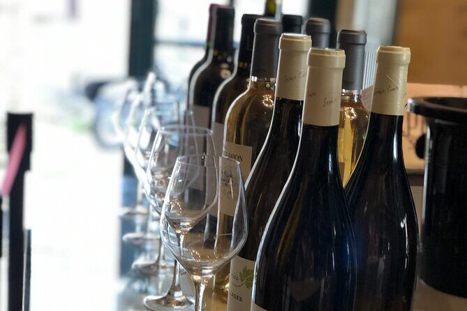 Wine course in Saint-Emilion followed by a tasting - A detailed look at what this Saint-Emilion wine course offers