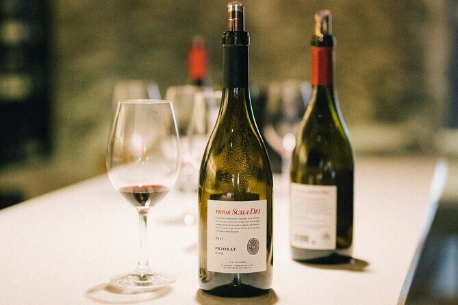 Wine course in Saint-Emilion followed by a tasting - What travelers have said