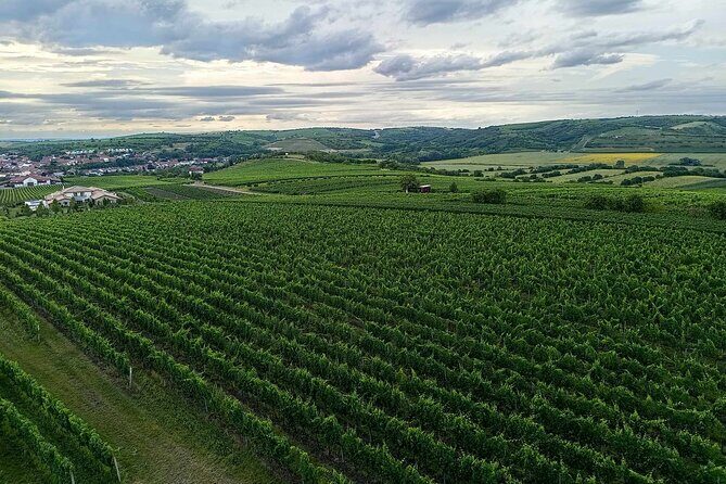 Wine Culture and UNESCO Gems Lednice Valtice Area and Mikulov - The Experience and Value