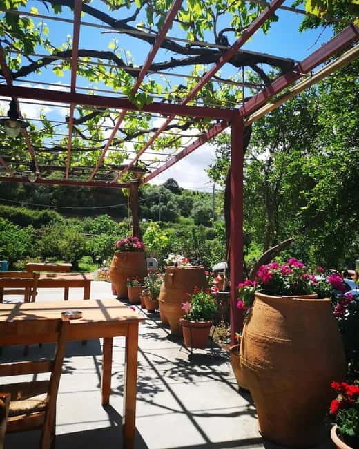 Wine, Dine & Divine: A Cretan Odyssey in Chania - Key Points