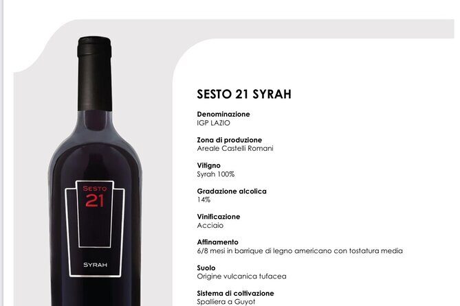 Wine Education Course in Rome with Tasting - What to Expect from the Experience