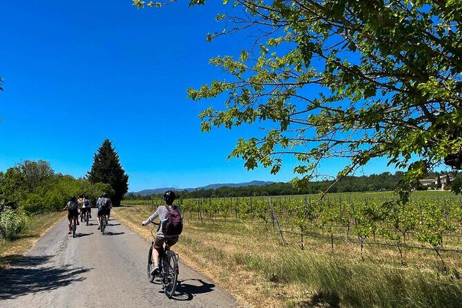 Wine excursion by electric bike guided by GPS Vallon Pont d'Arc - What We Loved About the Tour