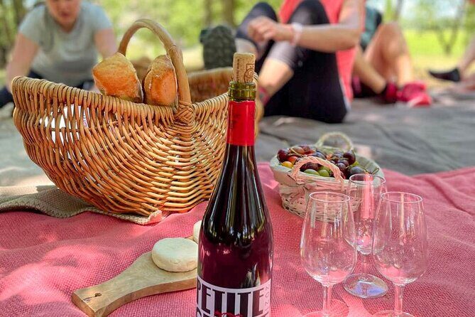 Wine excursion by electric bike guided by GPS Vallon Pont d'Arc - Who Would Love This Experience?
