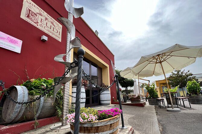 Wine Experience - Who Should Consider This Tour?