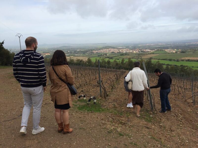Wine Experience around Cagliari - Final Thoughts