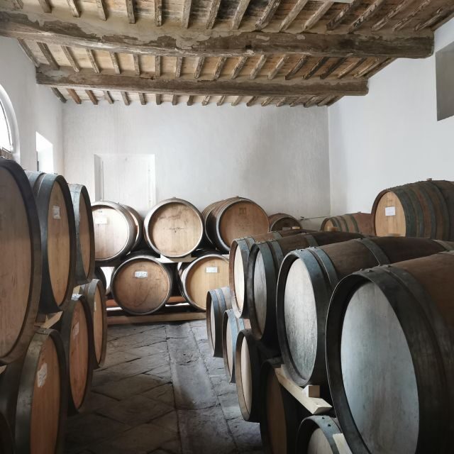Wine Experience in an Organic Chianti Winery - What to Expect from the Wine Experience in Tuscany
