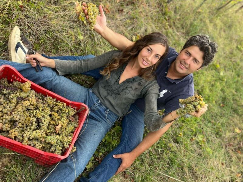 Wine Experience in an Organic Chianti Winery - FAQs