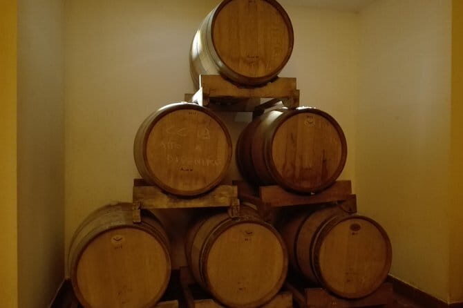 Wine Experience In Chianti Hills from Florence - Is This Tour Right for You?