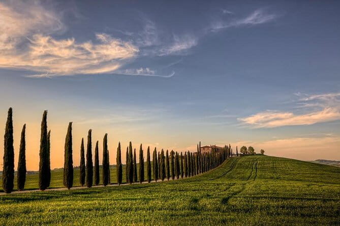 Wine Experience In Chianti Hills from Florence - Final Thoughts