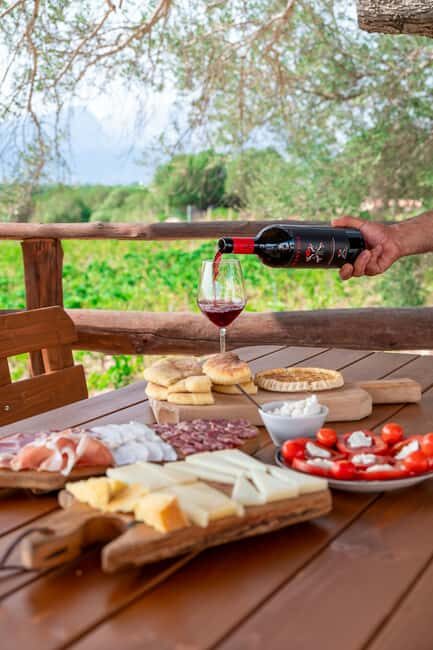 Wine experience in Dorgali in the heart of the Cannonau Classic Zone - Final Thoughts