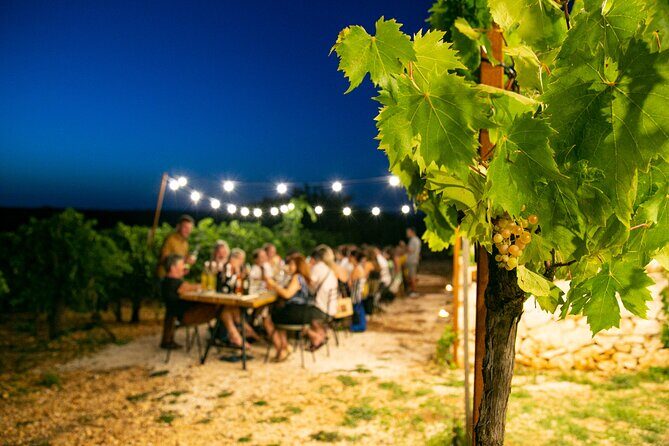 Wine Experience: vineyard, wines and food - What the Tour Entails: A Step-by-Step Breakdown