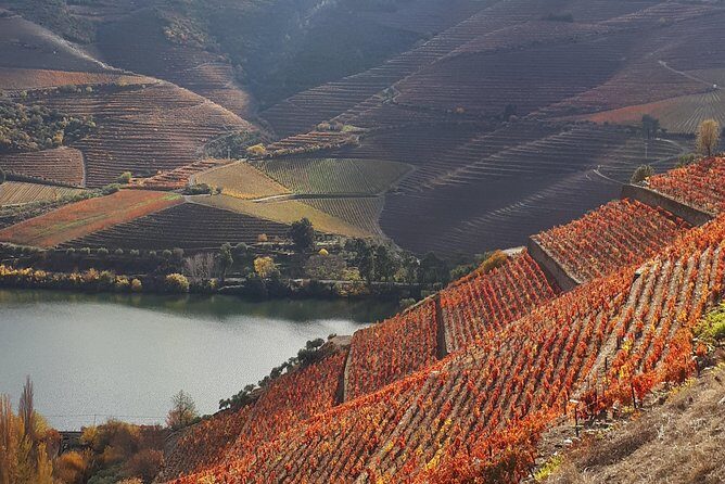 Wine experience with a sommelier - Key Points