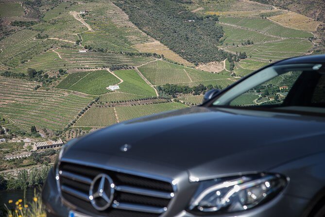 Wine experience with a sommelier - The Sum Up