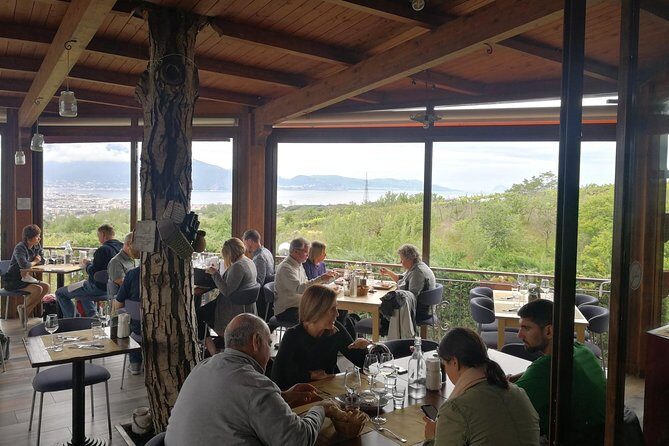Wine & Food Tour at the Vesuvius Winery - FAQs