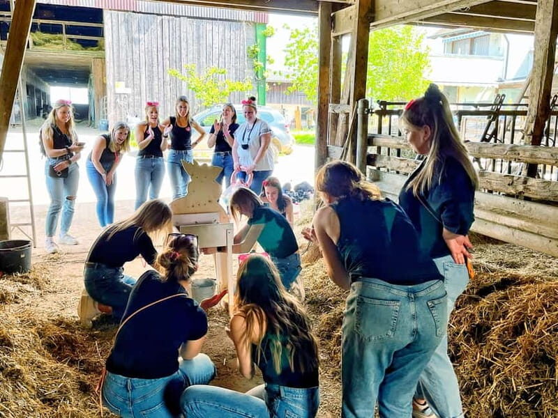 Wine hike JGA Gin Tour with games and snacks Stuttgart - A Detailed Look at the Experience