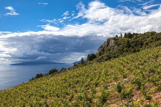 Wine Lover's Tour From Dubrovnik - Exploring the Wine Lover’s Tour from Dubrovnik: A Detailed Look