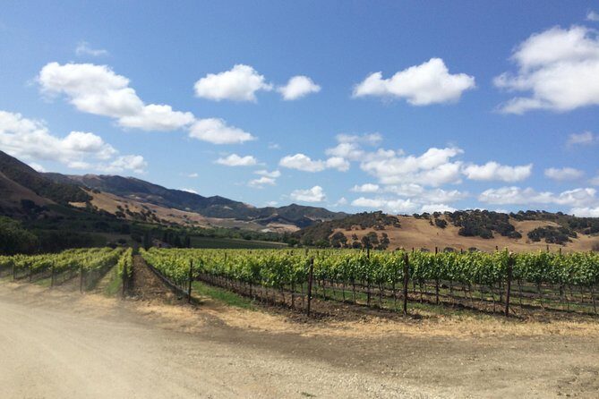Wine Lovers Tour from Santa Barbara Area - Key Points