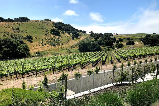 Wine Lovers Tour from Santa Barbara Area - Final Thoughts