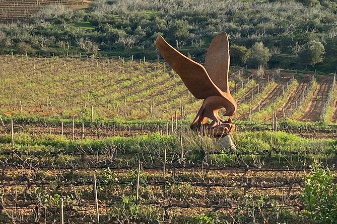 Wine Not Algarve Winery Tour - Authentic Experiences and Honest Impressions