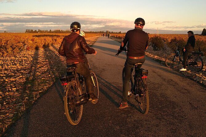 Wine of the Luberon by e-bike... Not to be missed ! - Key Points