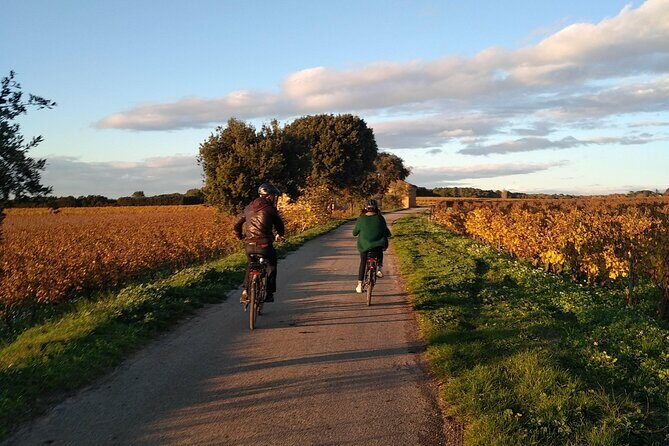 Wine of the Luberon by e-bike... Not to be missed ! - What’s the Experience Really Like?