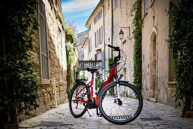Wine of the Luberon by e-bike... Not to be missed ! - Who Would Love This Tour?