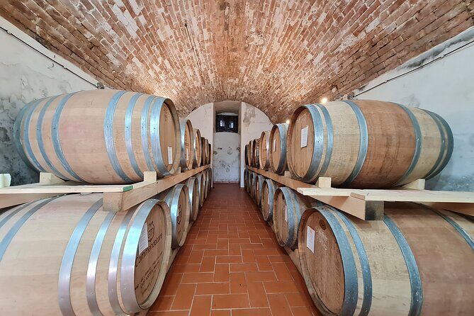 Wine & Oil Tasting Experience - Who Should Consider This Tour?